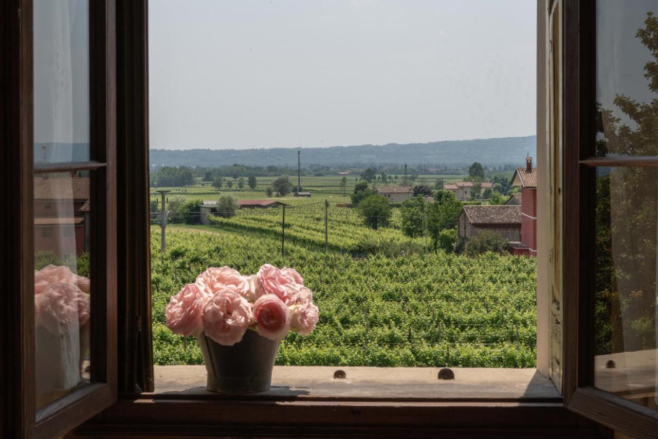 Fiori&Vigne Di Cecilia Marcon Villa Farra di Soligo Exterior foto